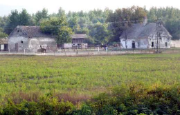 Tömegsírok